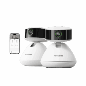 Scout Smart Camera & Dockstream Fountain
